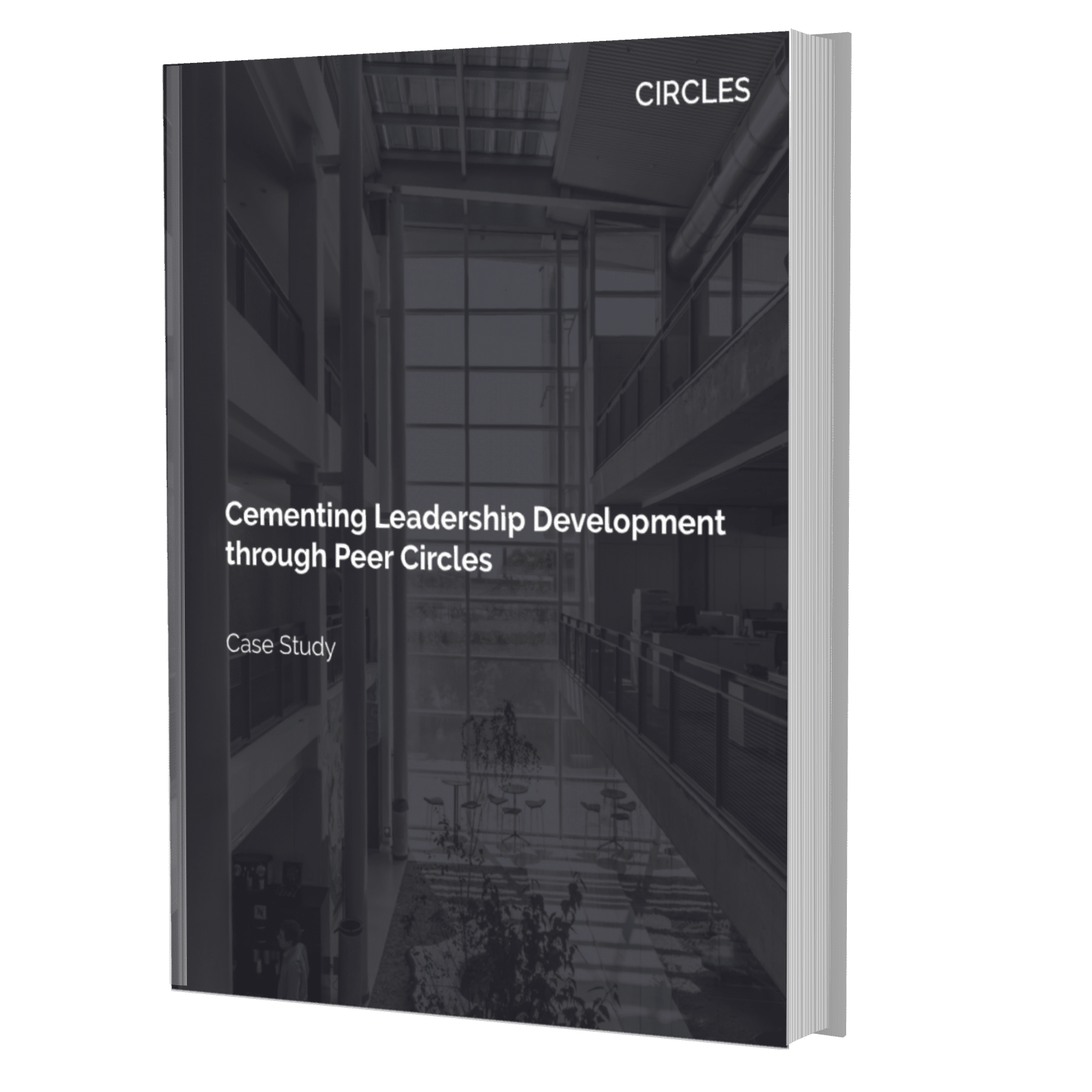 Case Study: Cementing Leadership Development through Peer Learning
